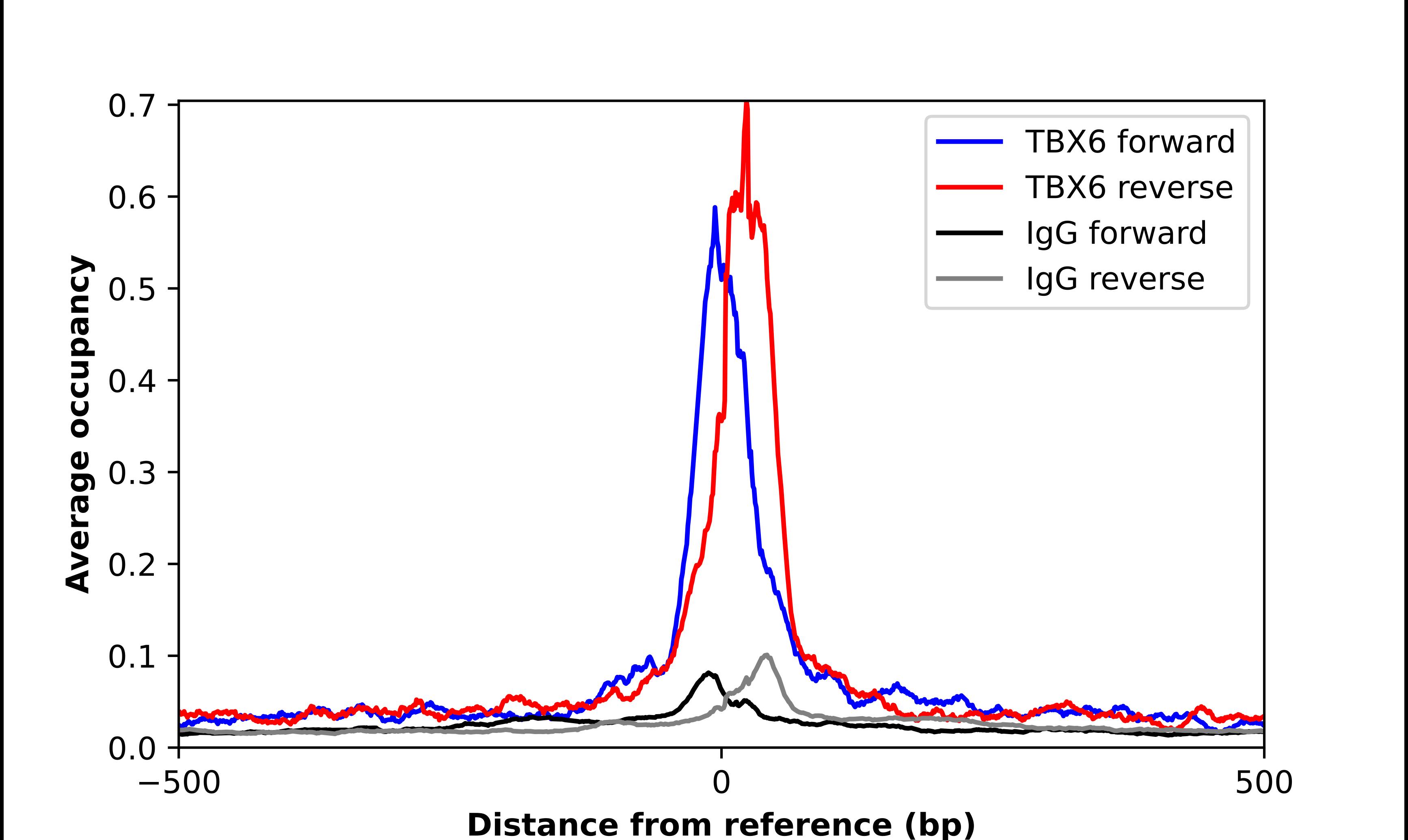 TBX6 Antibody - BSA Free Chromatin Immunoprecipitation-exo-Seq: TBX6 Antibody - BSA Free [NBP2-68792]