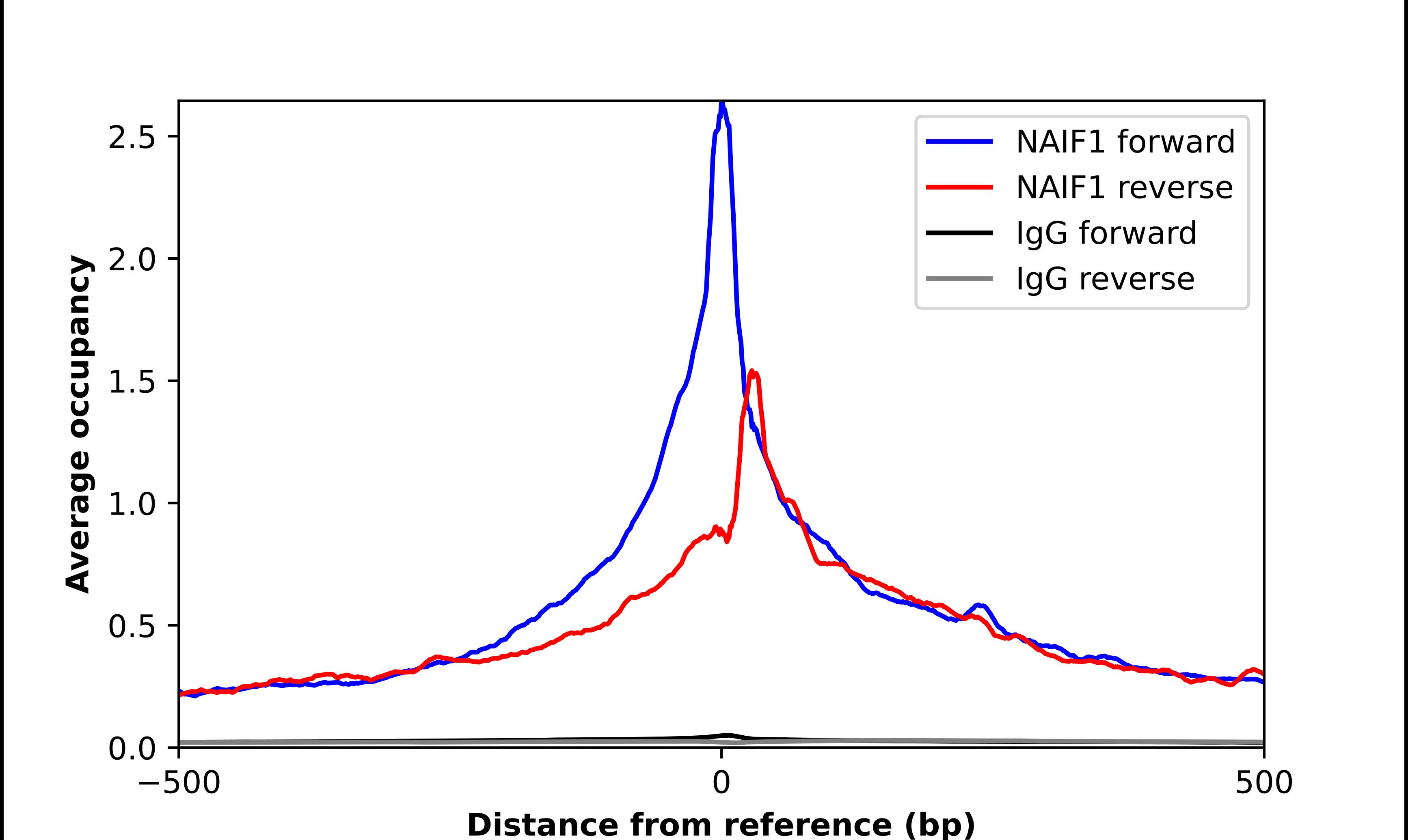 NAIF1 Antibody - BSA Free Chromatin Immunoprecipitation ChIP: NAIF1 Antibody - BSA Free