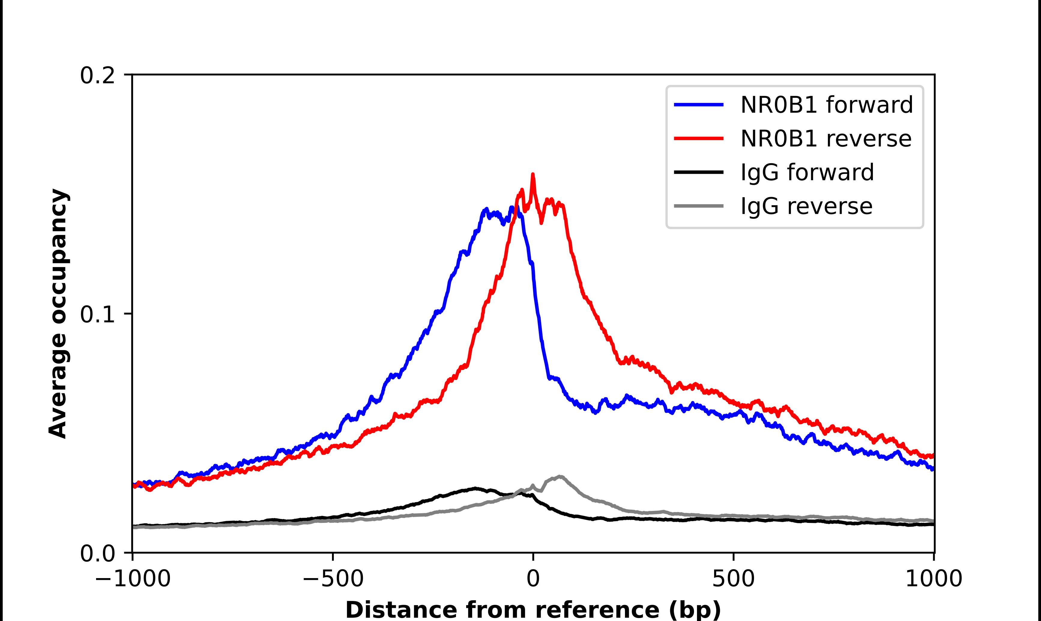 DAX1/NR0B1 Antibody - BSA Free Chromatin Immunoprecipitation-exo-Seq: DAX1/NR0B1 Antibody - BSA Free [NBP2-68852]