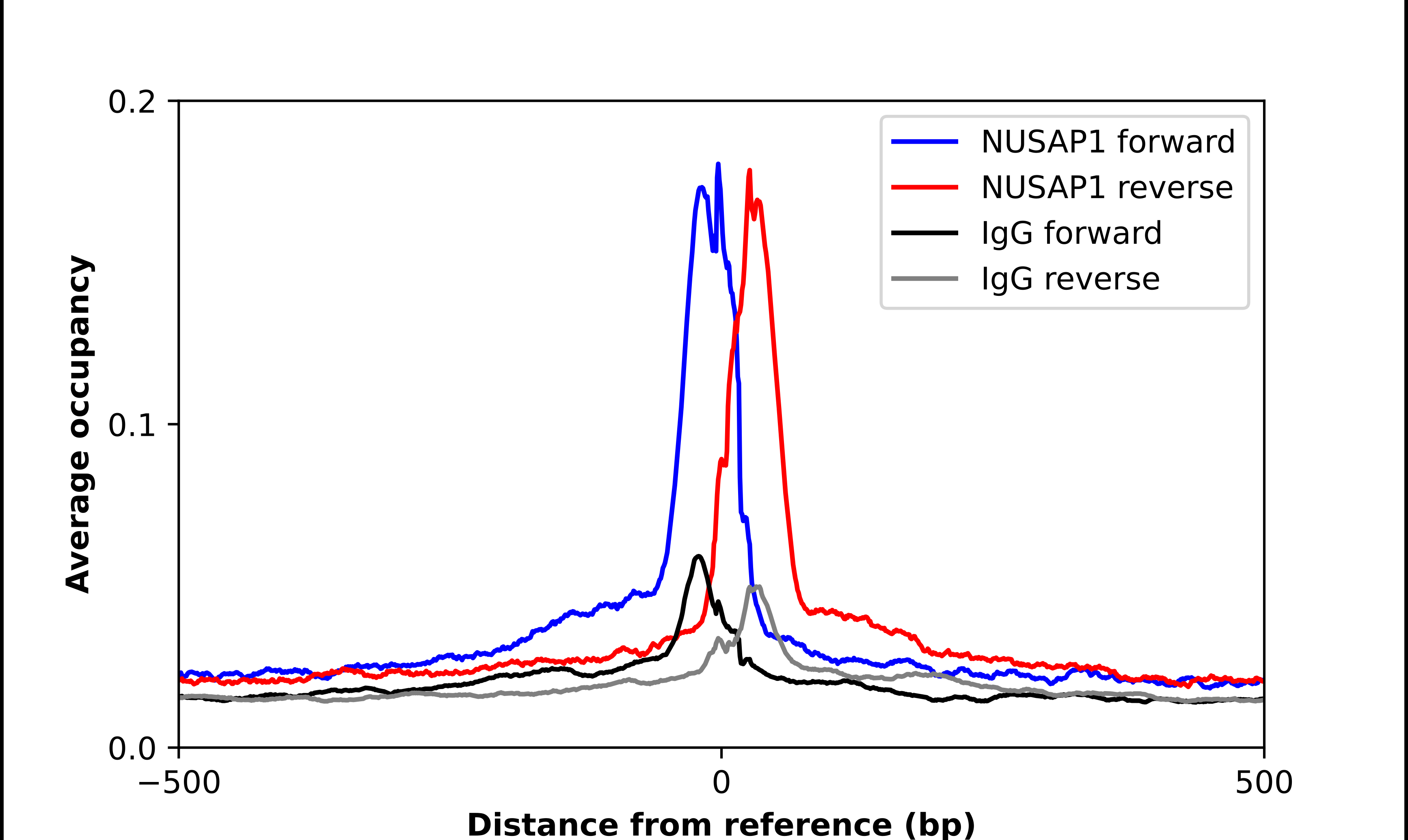 NUSAP1 Antibody - BSA Free Chromatin Immunoprecipitation-exo-Seq: NUSAP1 Antibody - BSA Free [NBP2-68989]