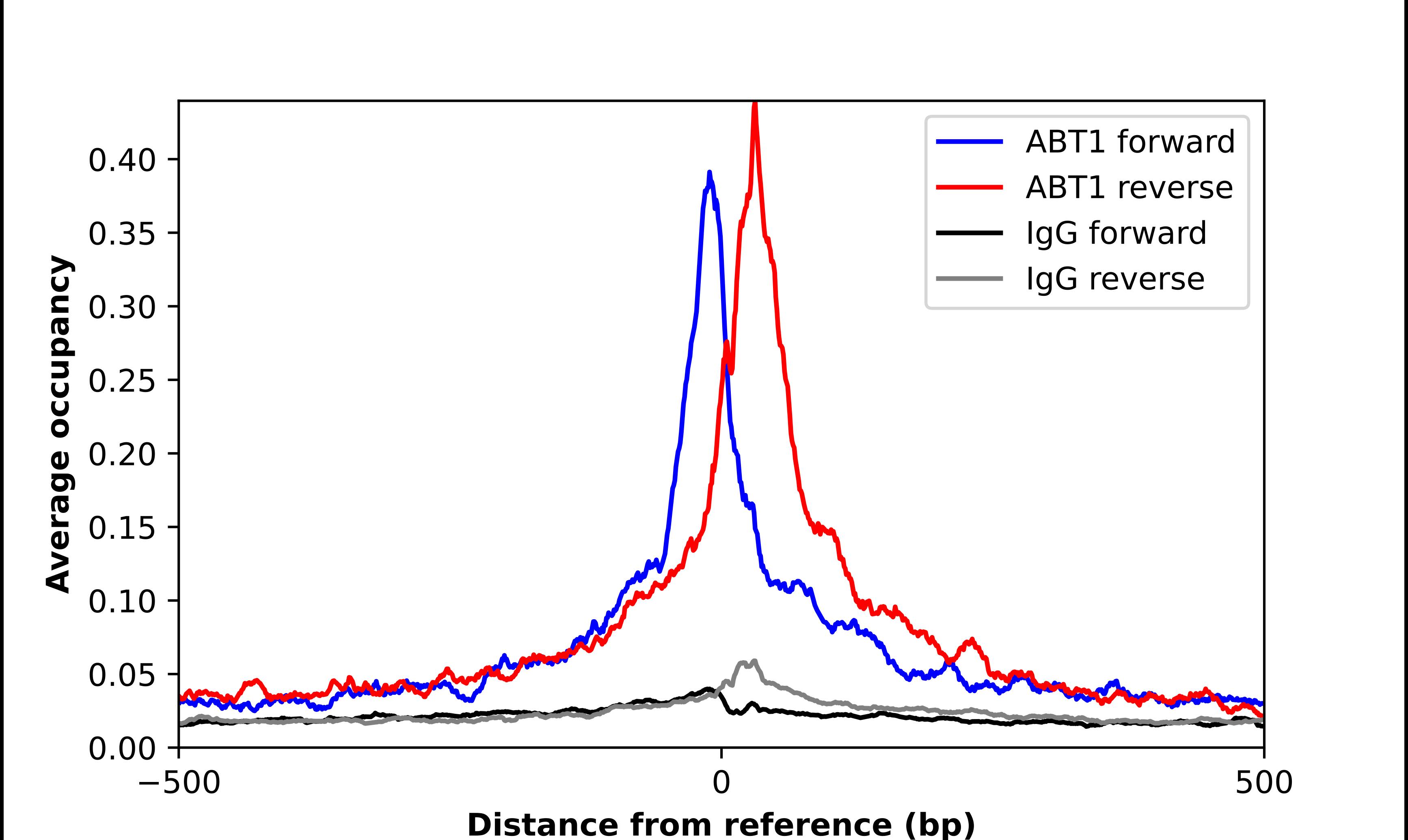 ABT1 Antibody - BSA Free Chromatin Immunoprecipitation-exo-Seq: ABT1 Antibody - BSA Free [NBP2-69030]