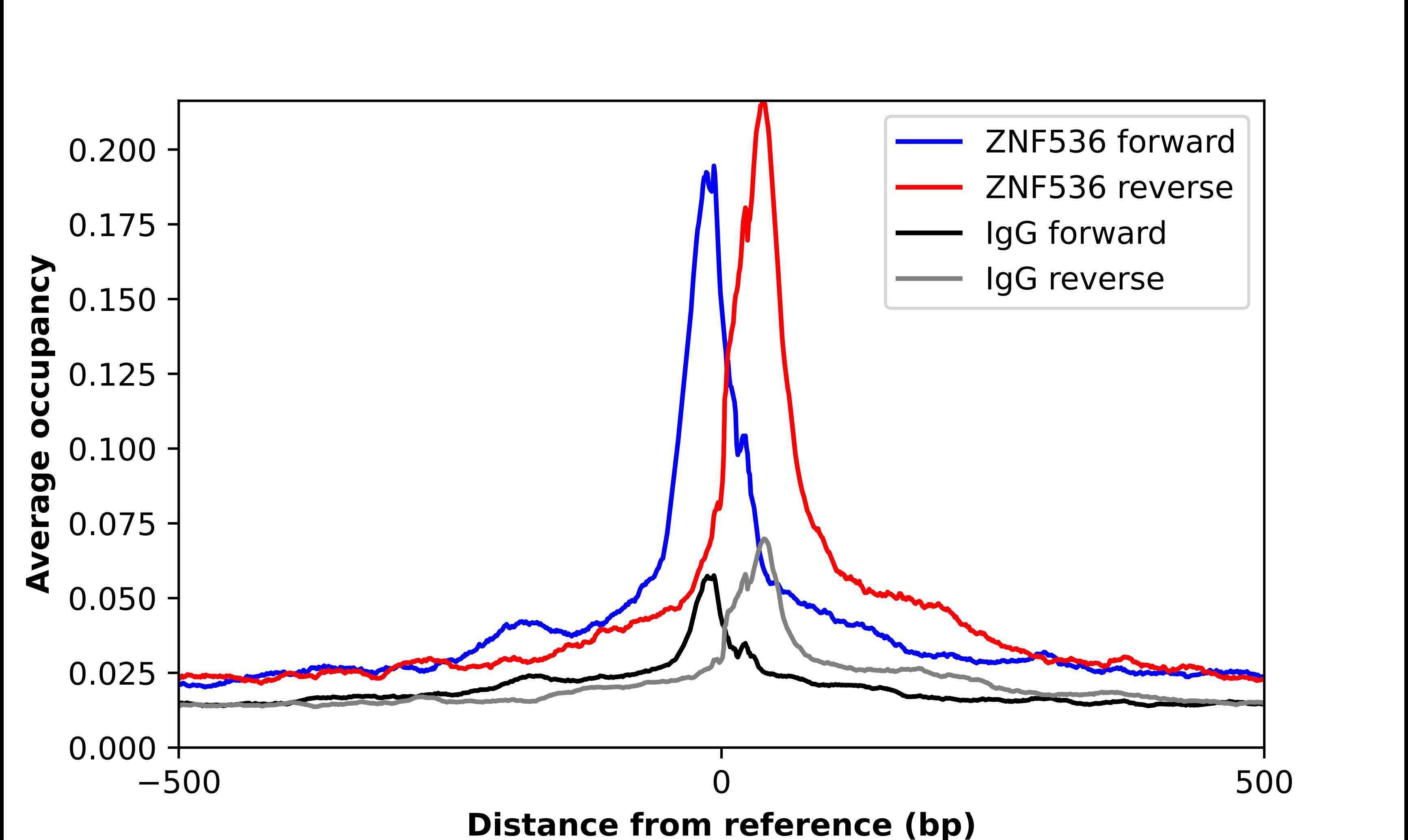 ZNF536 Antibody - BSA Free Chromatin Immunoprecipitation ChIP: ZNF536 Antibody - BSA Free