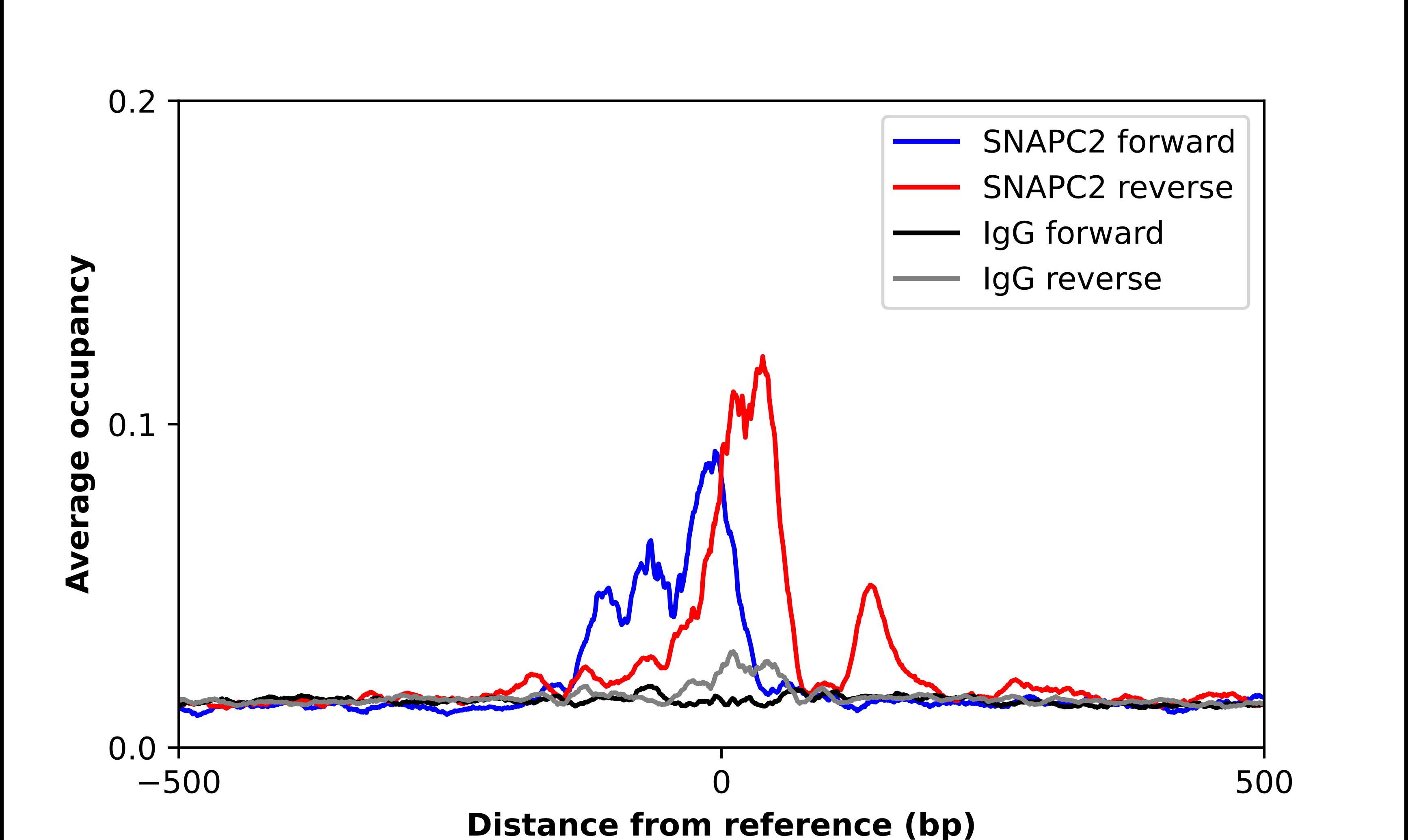 SNAP45 Antibody - BSA Free Chromatin Immunoprecipitation ChIP: SNAP45 Antibody - BSA Free