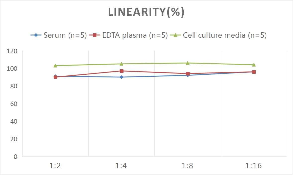 Human Angiotensin 1-7 ELISA Kit (Colorimetric)