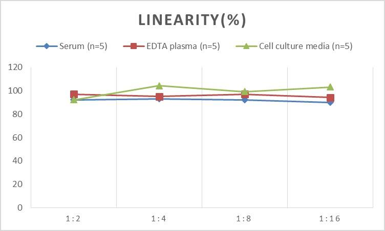 Mouse Angiotensin 1-9 ELISA Kit (Colorimetric)