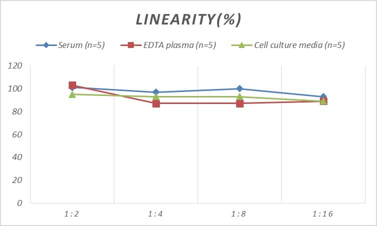 Rat Apolipoprotein C-II/ApoC2 ELISA Kit (Colorimetric)