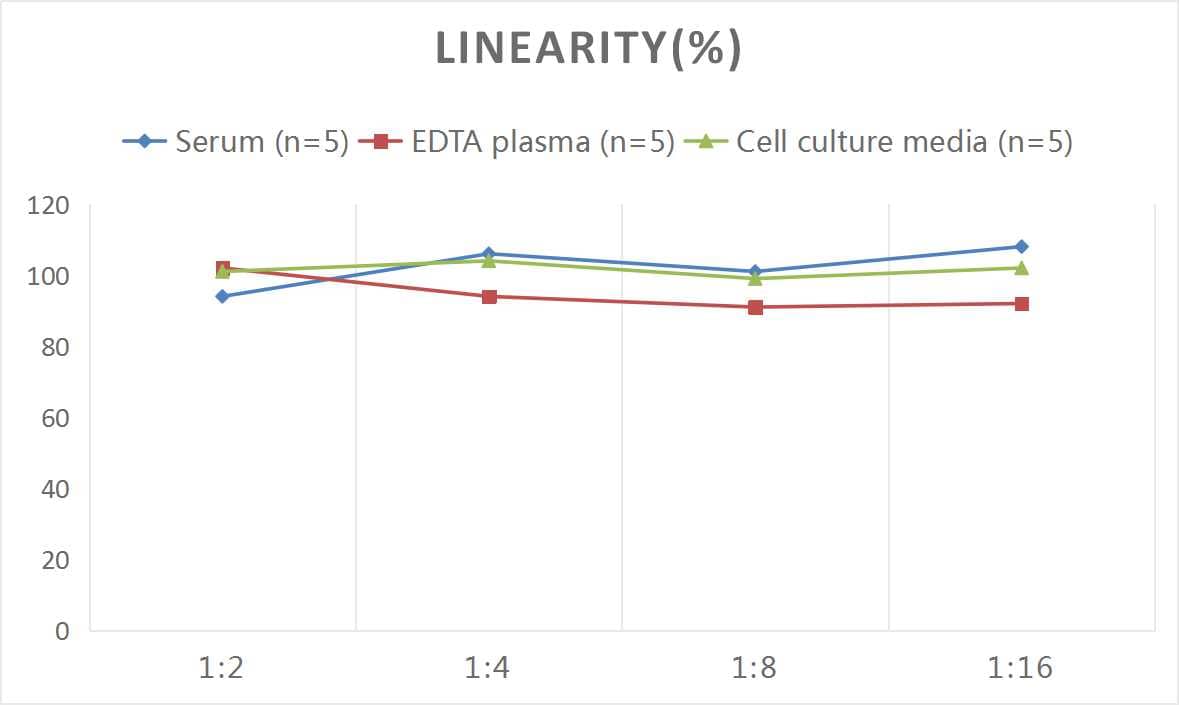 Mouse Apolipoprotein CIII ELISA Kit (Colorimetric)