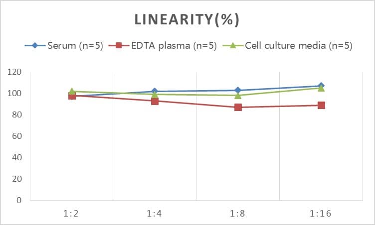 Rat Apolipoprotein CIII ELISA Kit (Colorimetric)