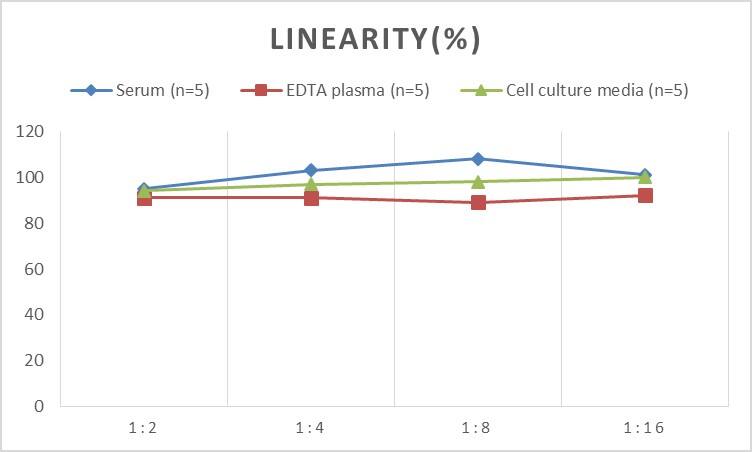 Mouse Apolipoprotein C4 ELISA Kit (Colorimetric)