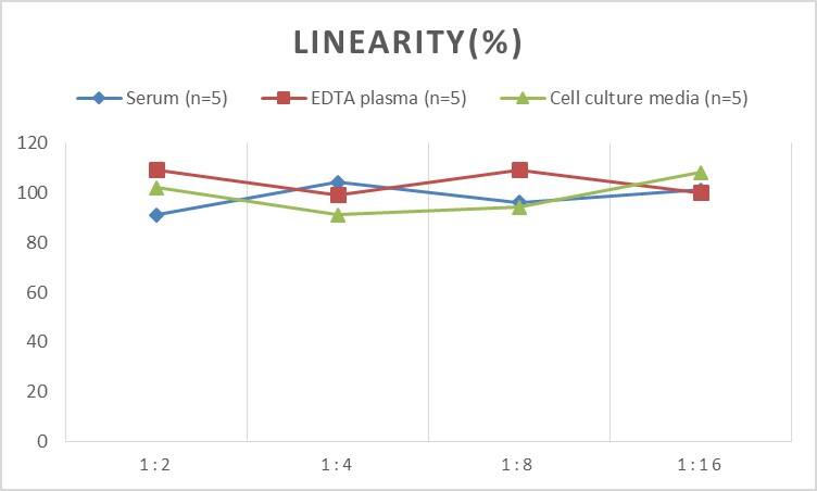 Human Apolipoprotein H/ApoH ELISA Kit (Chemiluminescence)