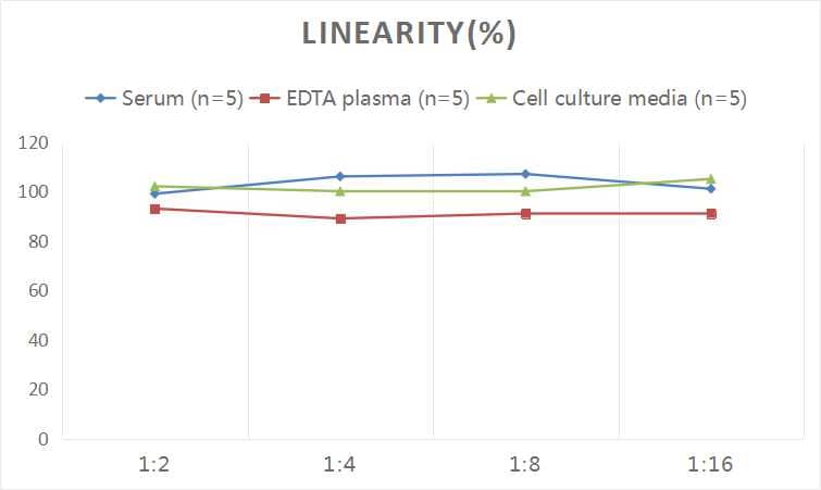 Human Apolipoprotein M/ApoM ELISA Kit (Colorimetric)