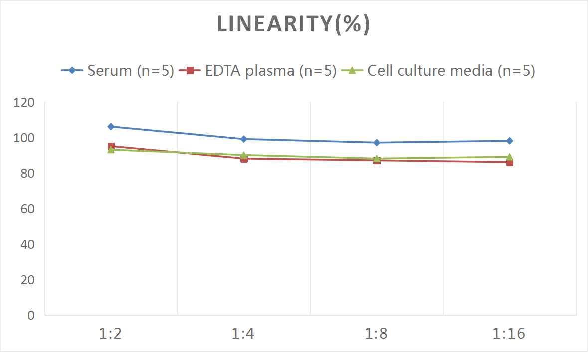 Mouse Apolipoprotein M/ApoM ELISA Kit (Colorimetric)