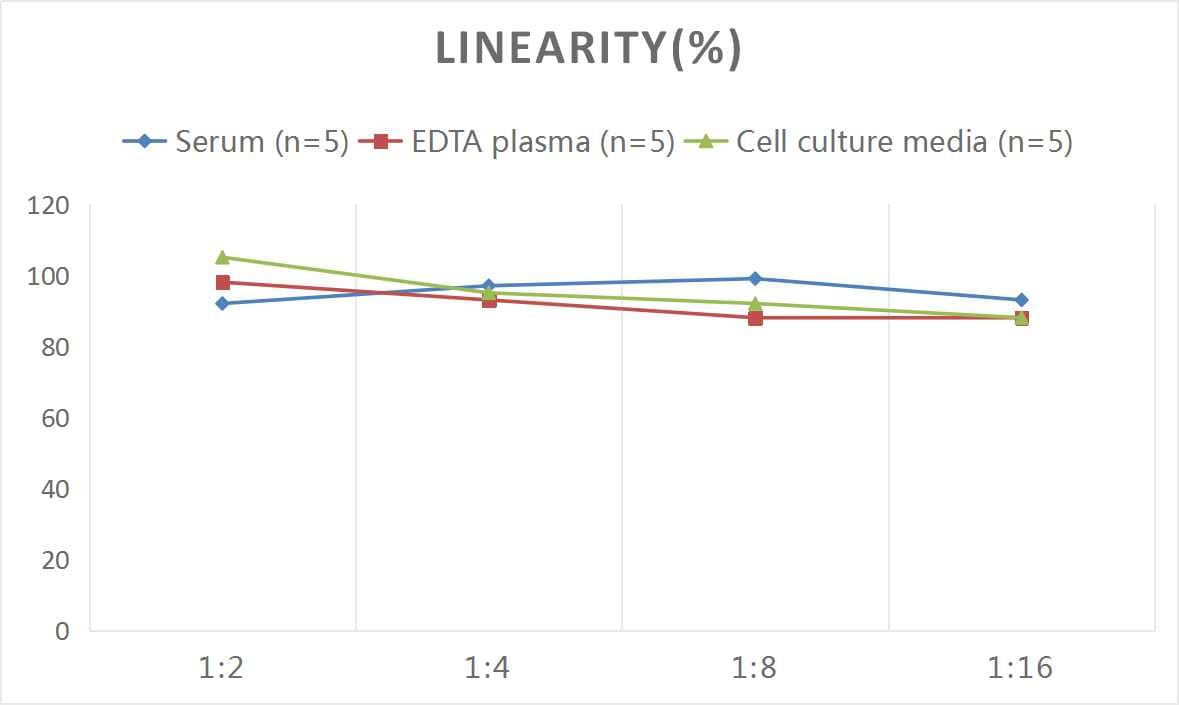 Rat Aquaporin-3 ELISA Kit (Colorimetric)