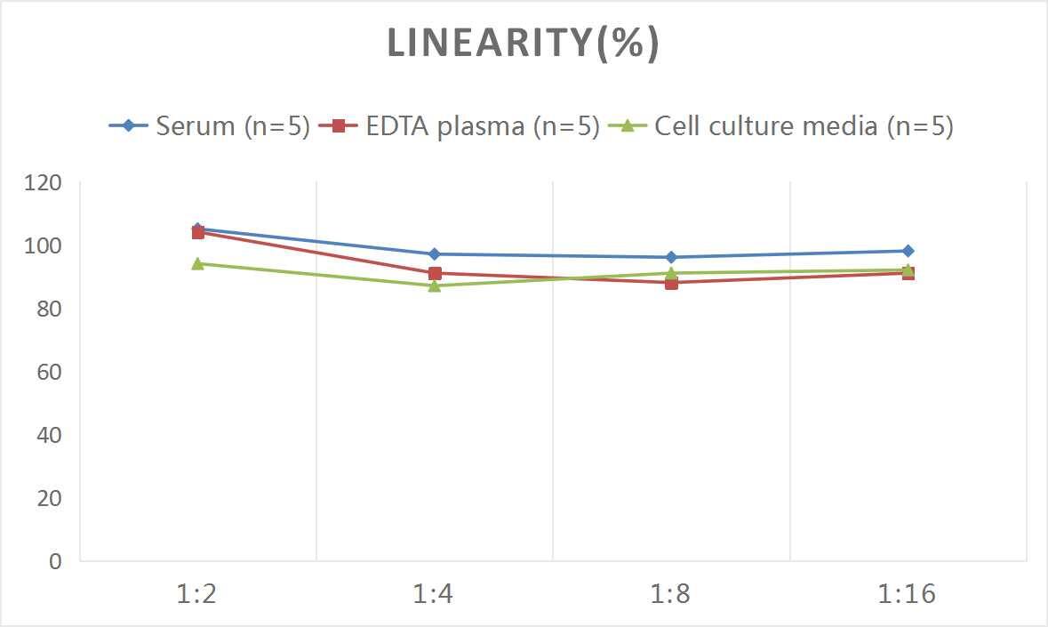 Rat Aquaporin-4 ELISA Kit (Colorimetric)