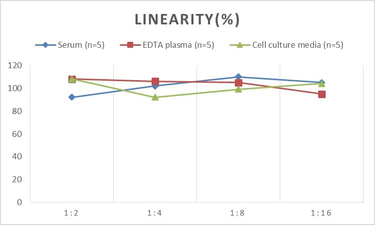 Human Androgen R/NR3C4 ELISA Kit (Chemiluminescence)