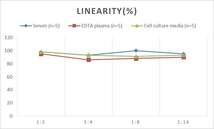 Rat Amphiregulin ELISA Kit (Colorimetric)