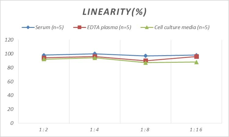 Rabbit Amphiregulin ELISA Kit (Colorimetric)