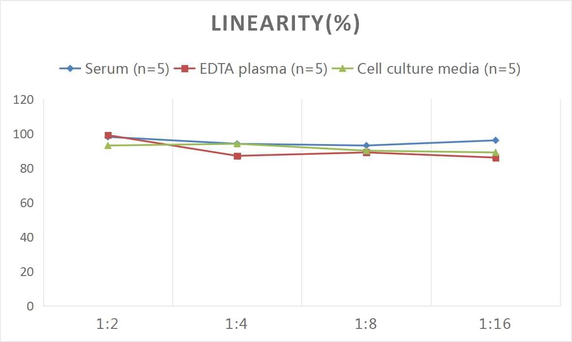 Human Aldo-keto Reductase 1B10/AKR1B10 ELISA Kit (Colorimetric)