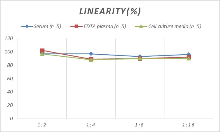 Mouse ARNT2 ELISA Kit (Colorimetric)