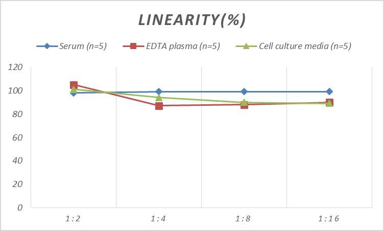 Rat ARNT2 ELISA Kit (Colorimetric)