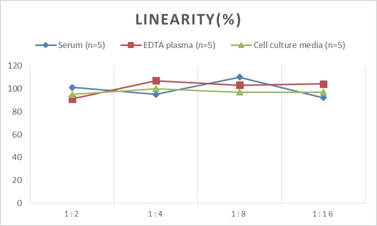 Mouse ASGPR1 ELISA Kit (Chemiluminescence)