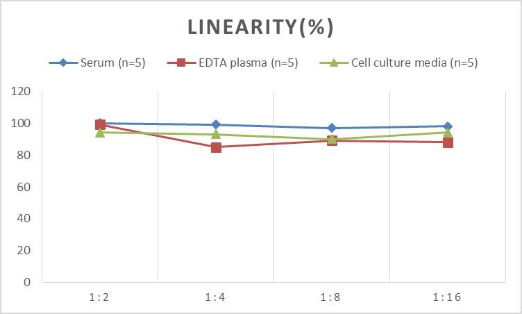 Human Asialoglycoprotein Receptor 2 ELISA Kit (Colorimetric)