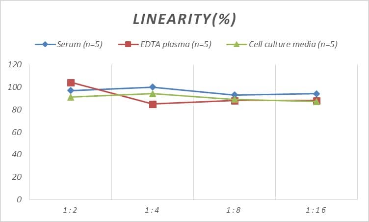 Human ATF1 ELISA Kit (Colorimetric)