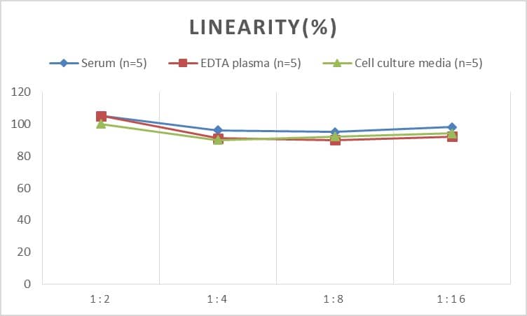 Human ATF2 ELISA Kit (Colorimetric)