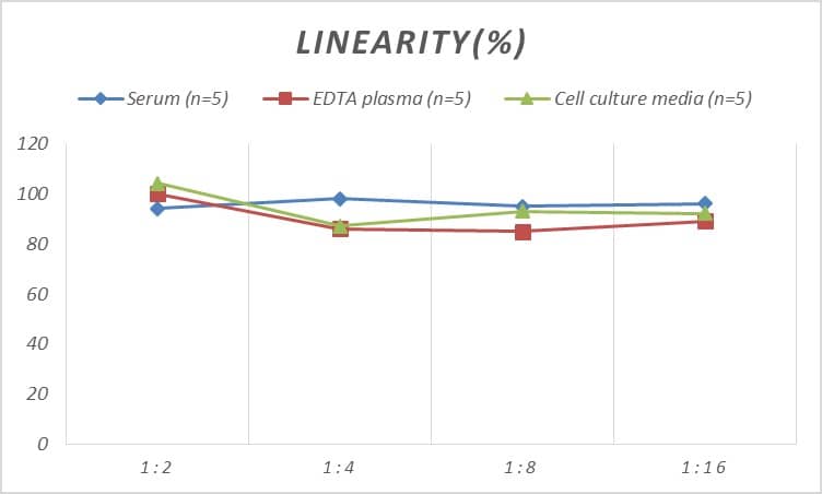 Human ATF3 ELISA Kit (Colorimetric)