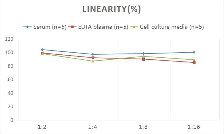 Human ATF4 ELISA Kit (Colorimetric)