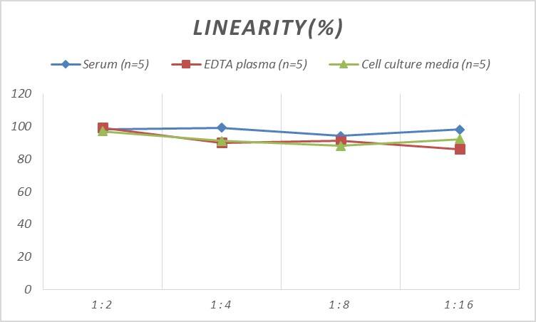 Human ATF5 ELISA Kit (Colorimetric)