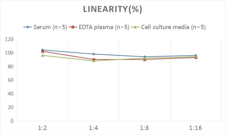 Human ATF6 ELISA Kit (Colorimetric)