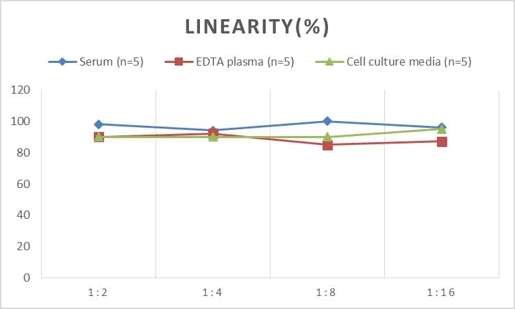 Mouse ATF6 ELISA Kit (Colorimetric)