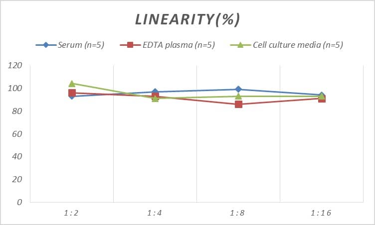 Rat ATF6 ELISA Kit (Colorimetric)