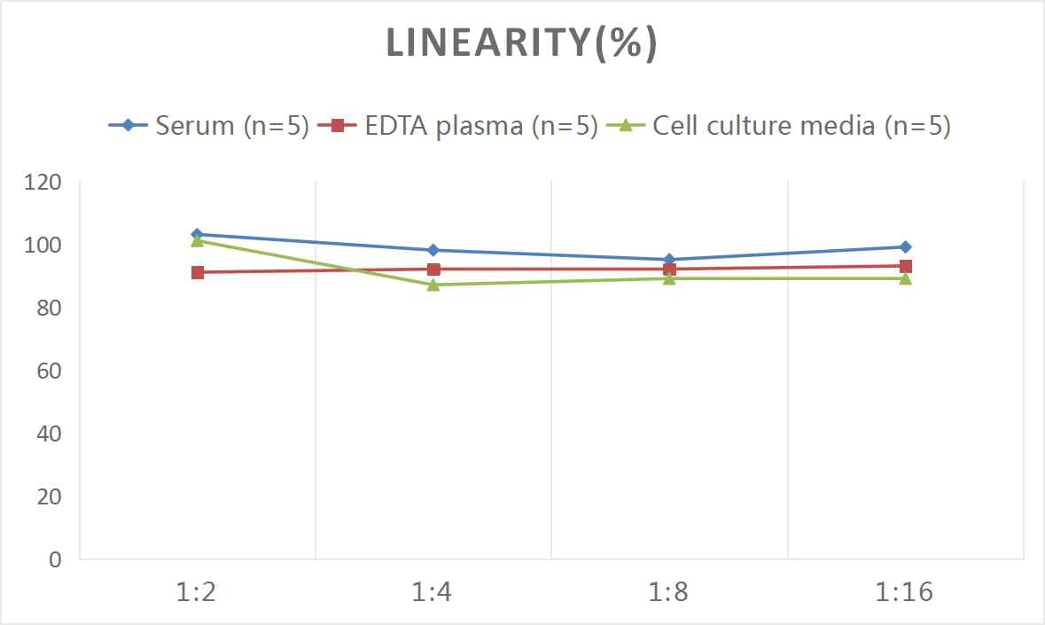 Human PEDFR/PNPLA2/ATGL ELISA Kit (Colorimetric)