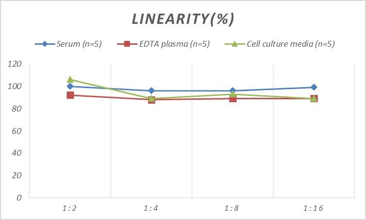 Human ATM ELISA Kit (Colorimetric)