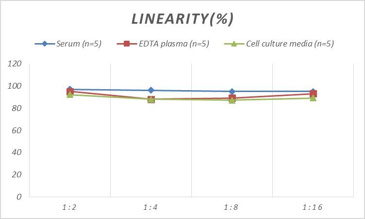 Mouse ATM ELISA Kit (Colorimetric)