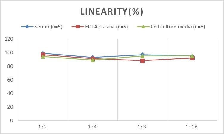 Rat ATM ELISA Kit (Colorimetric)