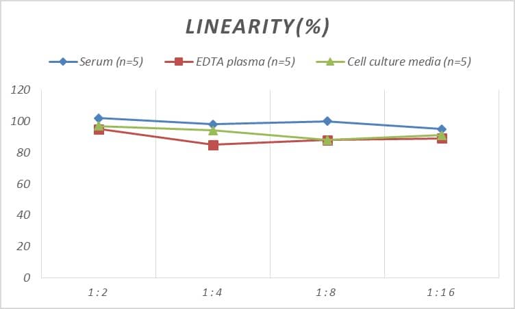 Rat Ataxin 1 ELISA Kit (Colorimetric)