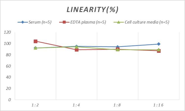 Rat Ataxin-2 ELISA Kit (Colorimetric)