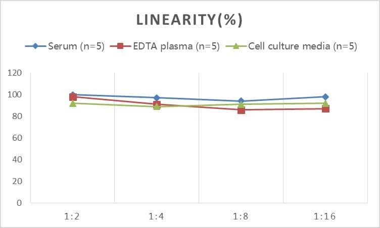 Human Axin-2 ELISA Kit (Colorimetric)