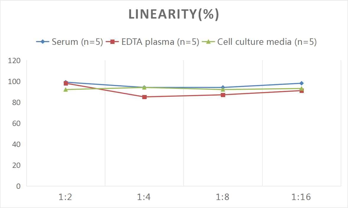 Mouse Axin-2 ELISA Kit (Colorimetric)