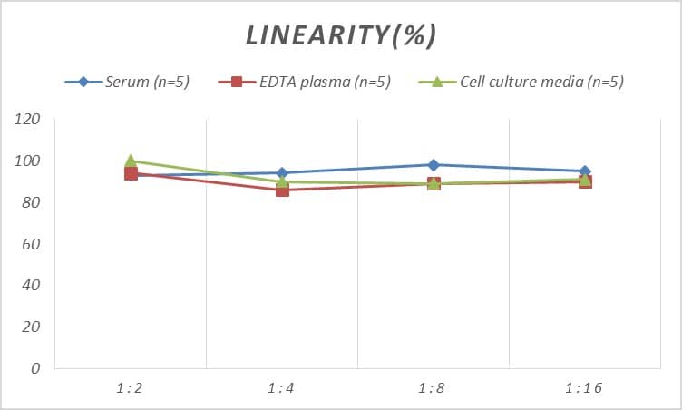 Rat Axin-2 ELISA Kit (Colorimetric)