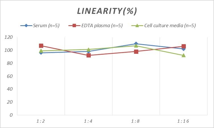 Human Azurocidin/CAP37/HBP ELISA Kit (Chemiluminescence)