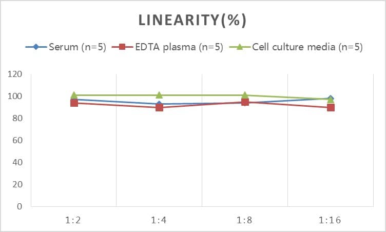 Monkey Amyloid Beta 1-40 ELISA Kit (Colorimetric)