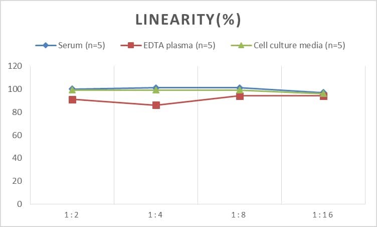 Monkey Amyloid Beta 1-42 ELISA Kit (Colorimetric)