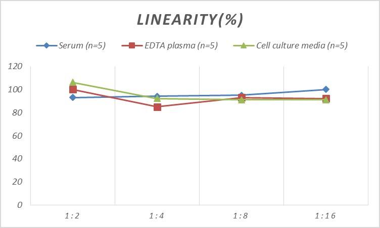 Human B3GALTL ELISA Kit (Colorimetric)