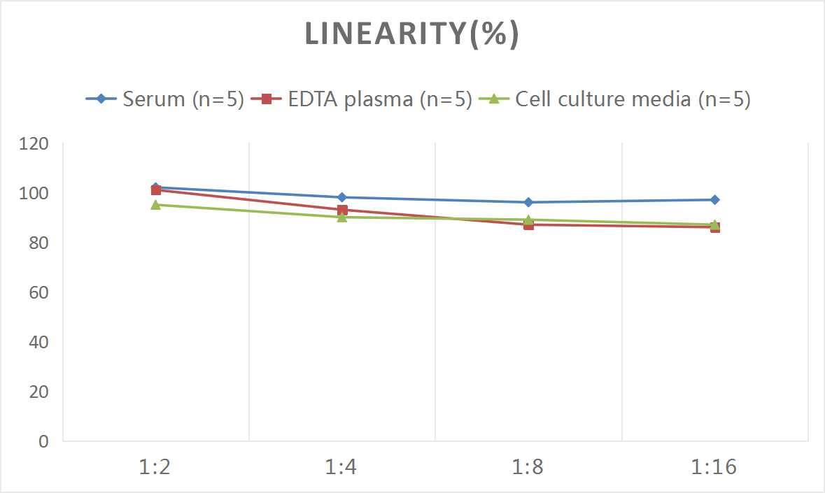 Rat BACE-1 ELISA Kit (Colorimetric)