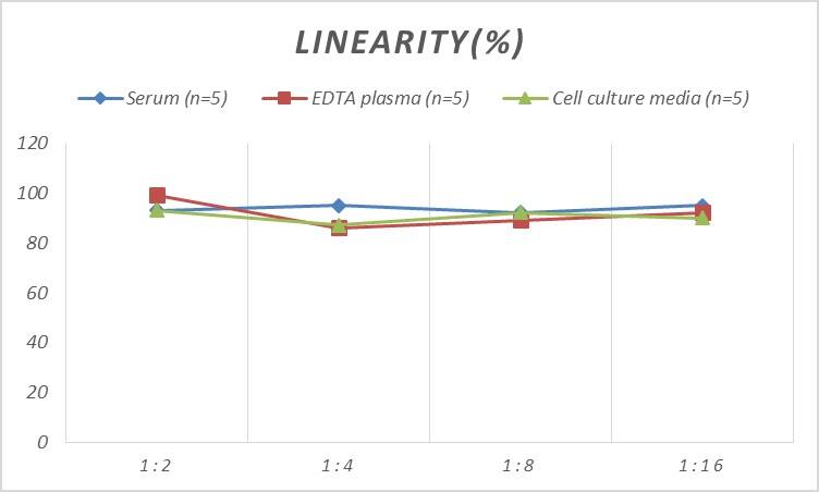 Rat BACE-2 ELISA Kit (Colorimetric)