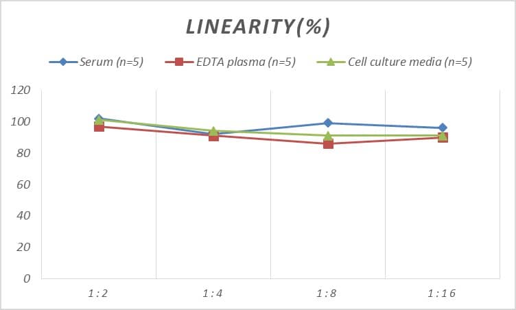 Human Bad ELISA Kit (Colorimetric)